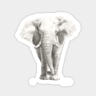 African Elephant - Etosha Elephant watercolour design - by Nadya Neklioudova Sticker